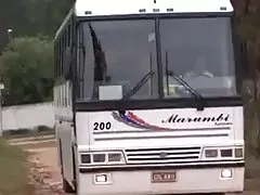 Store anal orgie i bussen - orgia ingen onibus