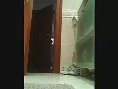 Exhib dusj 3