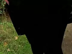 Britiske sluts elsker dogging 2 - tamara nåde