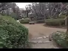 Jpn milf