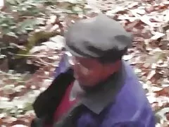 Skogen serien - skogen naturen